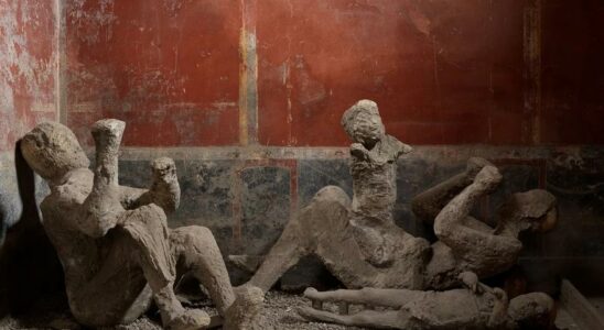 LADN reecrit lhistoire des victimes de Pompei