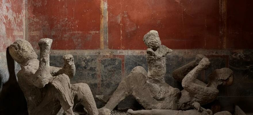 LADN reecrit lhistoire des victimes de Pompei