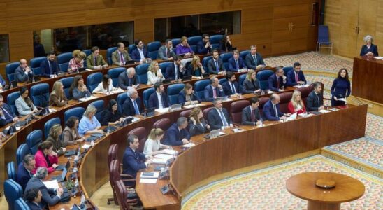 LAssemblee de Madrid donne son feu vert a la loi