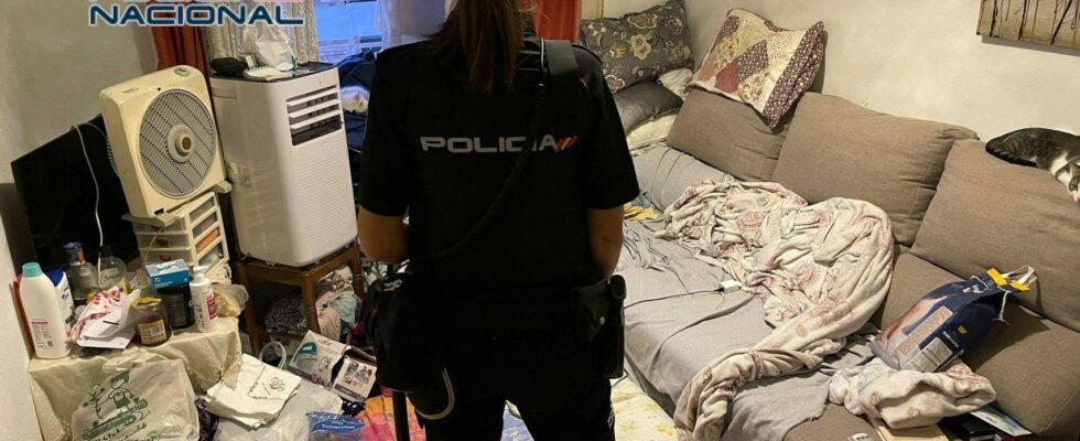 La Police Nationale demantele trois appartements patera dans la zone