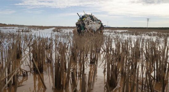 La peche la faune et les rizieres sont en danger