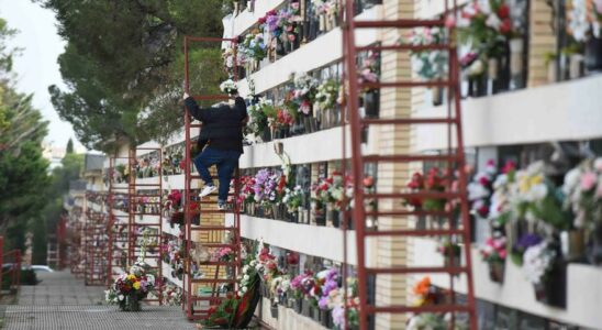 Laffaire de la mort renait avec moins de depenses et