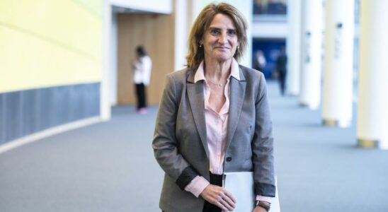 Le Parlement europeen exigera que Teresa Ribera soit responsable de