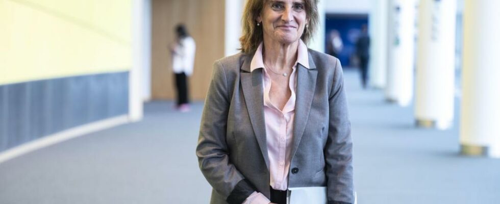 Le Parlement europeen exigera que Teresa Ribera soit responsable de