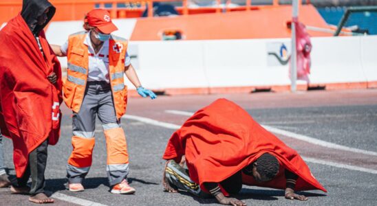 Le gouvernement abandonne et demande finalement a lUE de laider