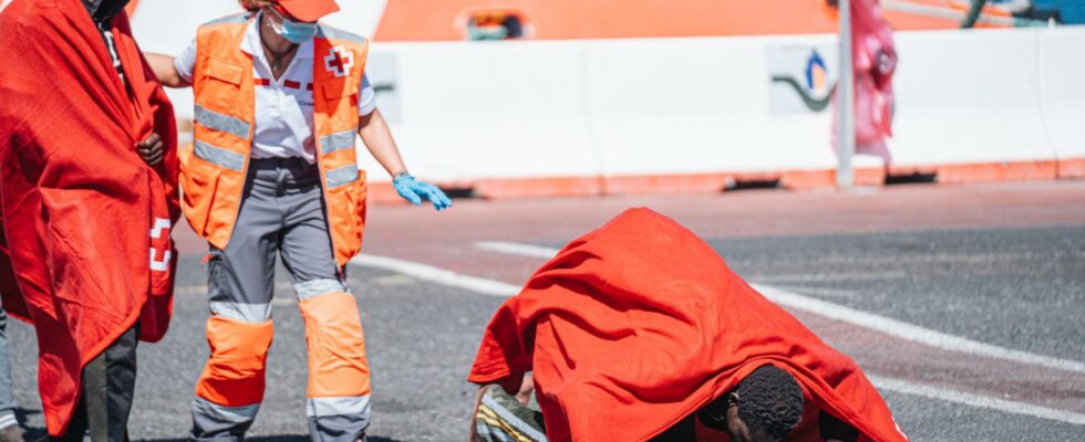 Le gouvernement abandonne et demande finalement a lUE de laider