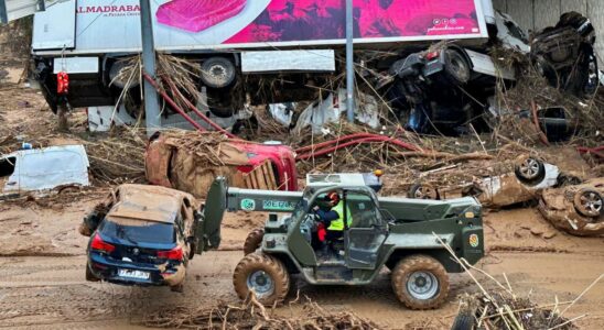 Les grues mettront entre un et deux mois pour evacuer