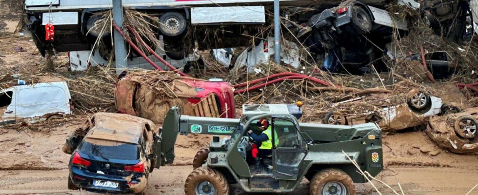 Les grues mettront entre un et deux mois pour evacuer