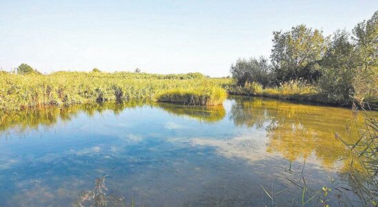 Les habitants de Ribera Alta celebrent larret des projets eoliens