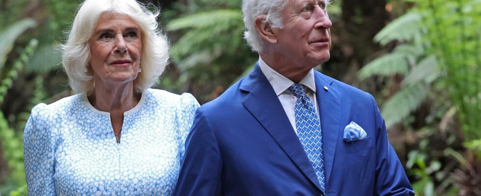 Les rois Charles III et Camilla envoient un message de