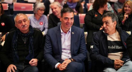 Pedro Sanchez Nous avons vaincu les canulars et