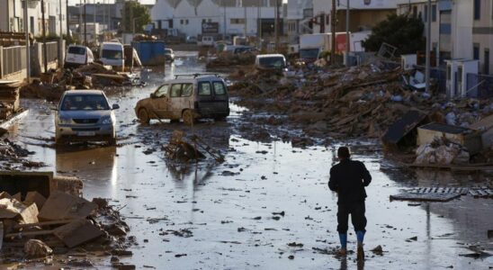 Pourquoi croyons nous aux fausses nouvelles Desinformation dans des crises