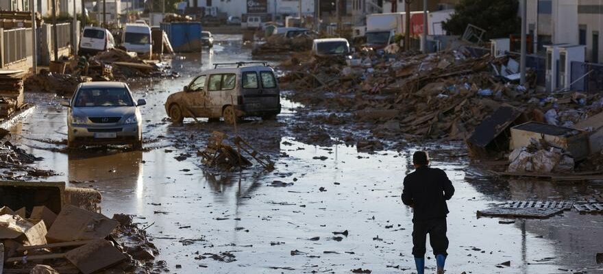 Pourquoi croyons nous aux fausses nouvelles Desinformation dans des crises