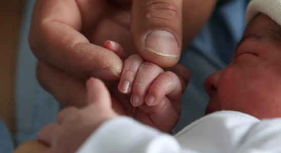 Un enfant sur quatre ne en Castille et Leon lannee derniere est