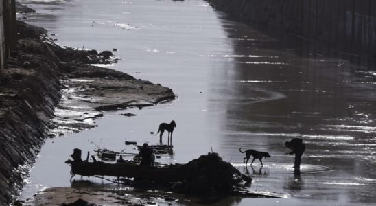 lordre qui a atteint le fleuve Magro et non le