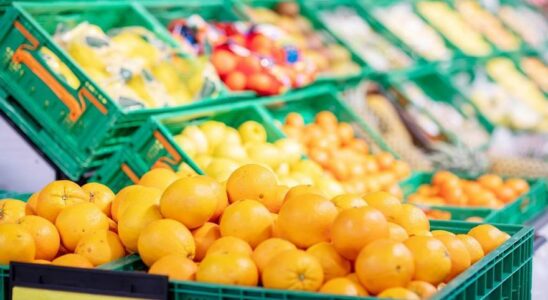 A qui Mercadona achete t elle les oranges quelle vend dans ses