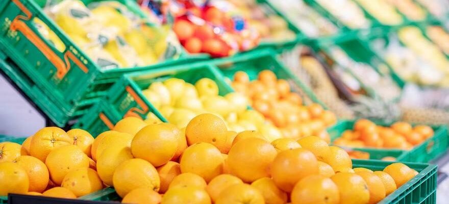 A qui Mercadona achete t elle les oranges quelle vend dans ses