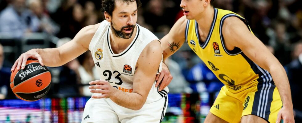 ALBA Berlin 69 80 Real Madrid Llull confirme la