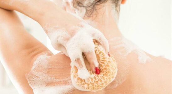 Astuces pour que leponge de douche ne soit pas un