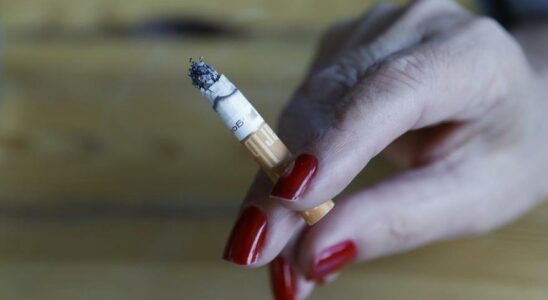 Chaque cigarette reduit lesperance de vie de 20 minutes soit