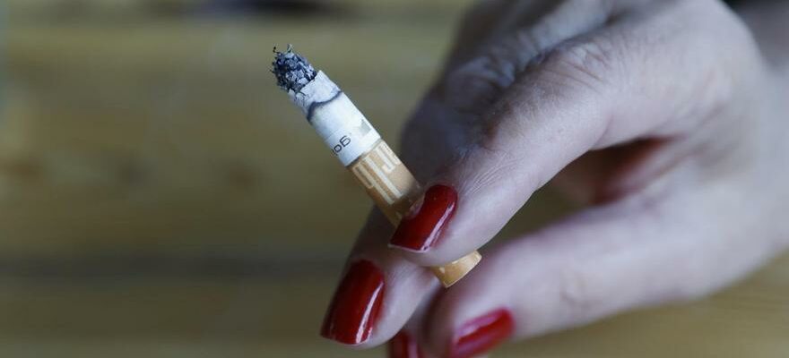 Chaque cigarette reduit lesperance de vie de 20 minutes soit