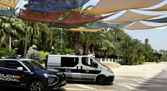 Deux mineurs en ont battu un autre a Elche pour