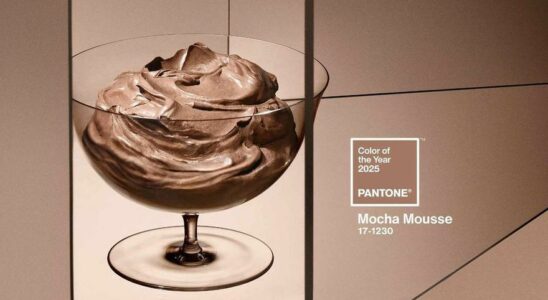 Et la couleur Pantone de lannee 2025 est Moka Mousse