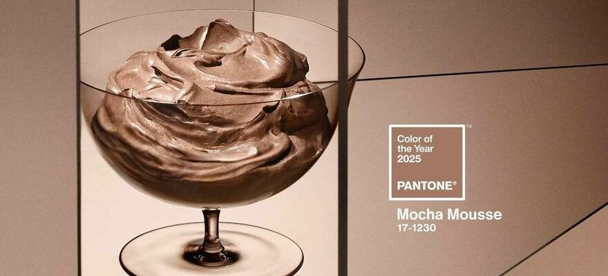 Et la couleur Pantone de lannee 2025 est Moka Mousse