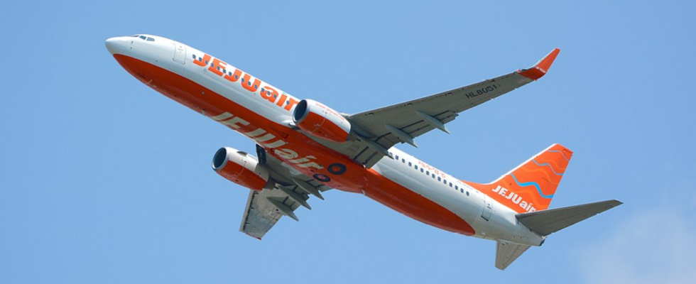 Il sagit du Boeing 737 800 de Jeju Air lavion qui