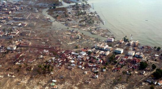 Il sagit du plus grand megatsunami de lhistoire une