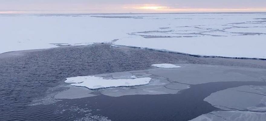 LArctique pourrait etre libre de glace dici 2027