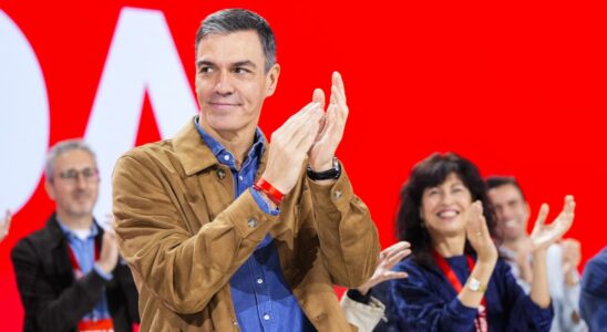 Le PSOE se retranche au Congres pour denoncer le coup