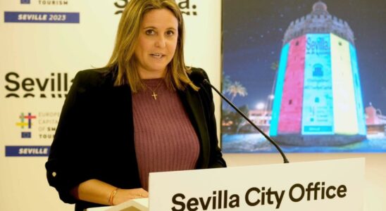 Le conseiller au tourisme de Seville enferme dans un hotel