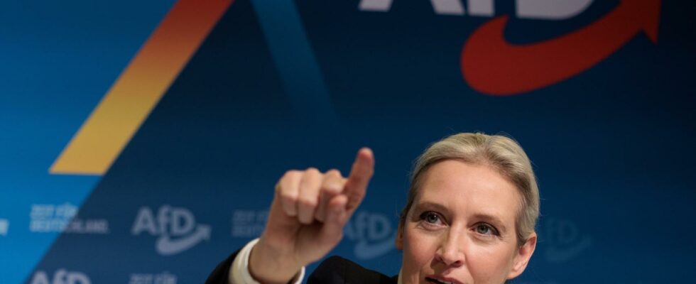 Le dernier sondage fait dAlice Weidel la favorite pour le