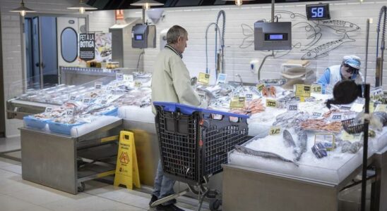 Les poissonniers prevoient une baisse de loffre de poisson bleu