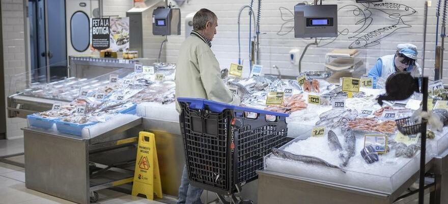 Les poissonniers prevoient une baisse de loffre de poisson bleu