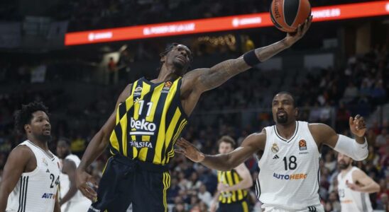 Nigel Hayes Davis profite dun Real Madrid sans direction