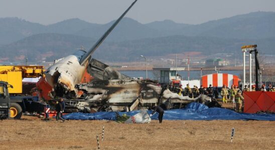 Quest il arrive a lavion de Jeju Air en Coree du