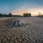 RECHAUFFEMENT CLIMATIQUE Le changement climatique menace lapprovisionnement alimentaire mondial