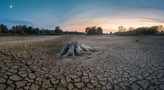 RECHAUFFEMENT CLIMATIQUE Le changement climatique menace lapprovisionnement alimentaire mondial