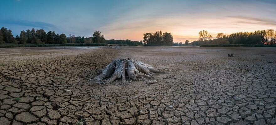 RECHAUFFEMENT CLIMATIQUE Le changement climatique menace lapprovisionnement alimentaire mondial