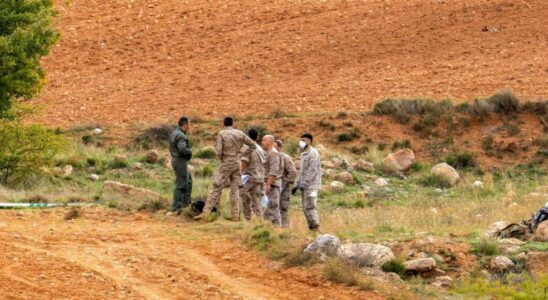 Un gros oiseau cause possible de laccident du F 18 a