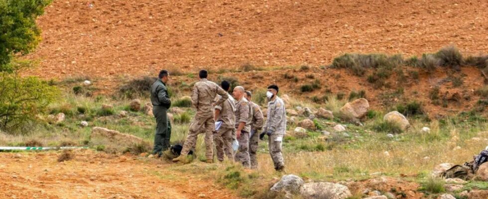 Un gros oiseau cause possible de laccident du F 18 a