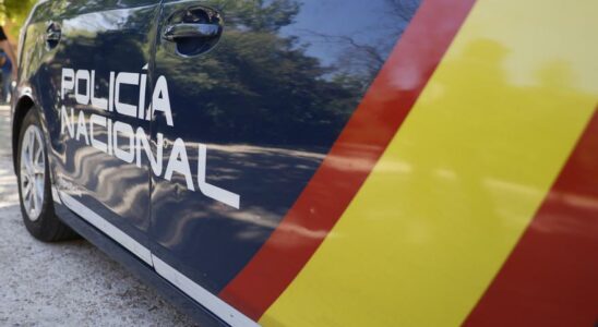 Un homme arrete apres avoir tue sa soeur a Malaga