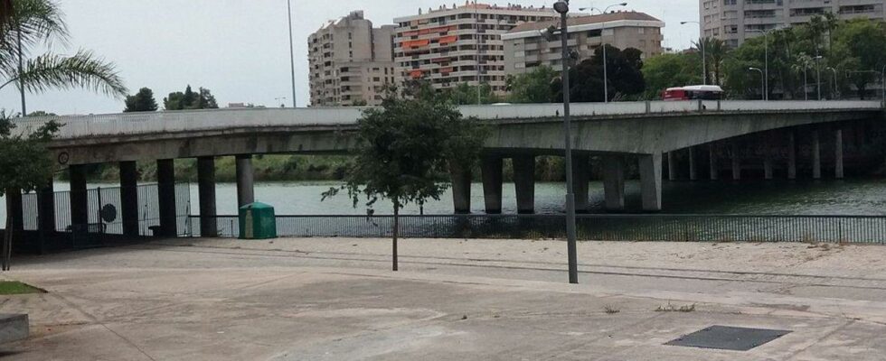 Un homme meurt apres avoir saute dans le Guadalquivir depuis