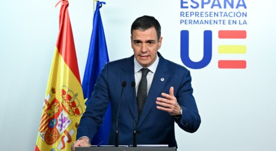 Un juge convoque Pedro Sanchez a une ceremonie de conciliation