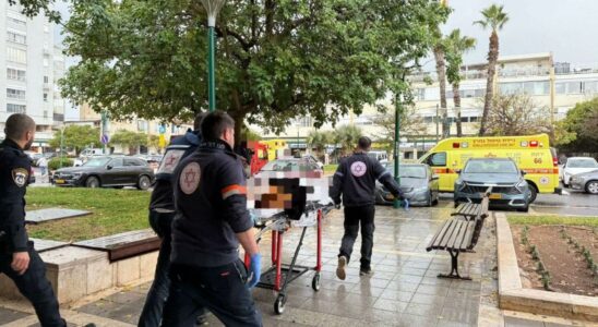 Une femme de 83 ans decede apres quun jeune Palestinien