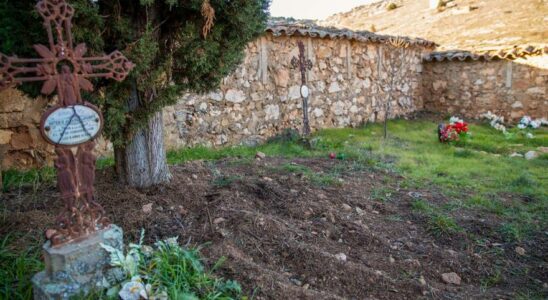 Une femme et son compagnon arretes pour avoir pretendument demembre