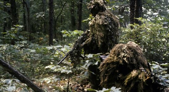 camouflage extreme qui sadapte a lenvironnement comme des cameleons