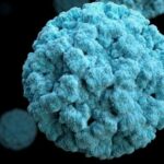 AUGMENTATION DES CAS DE NOROVIRUS Il sagit dune etrange